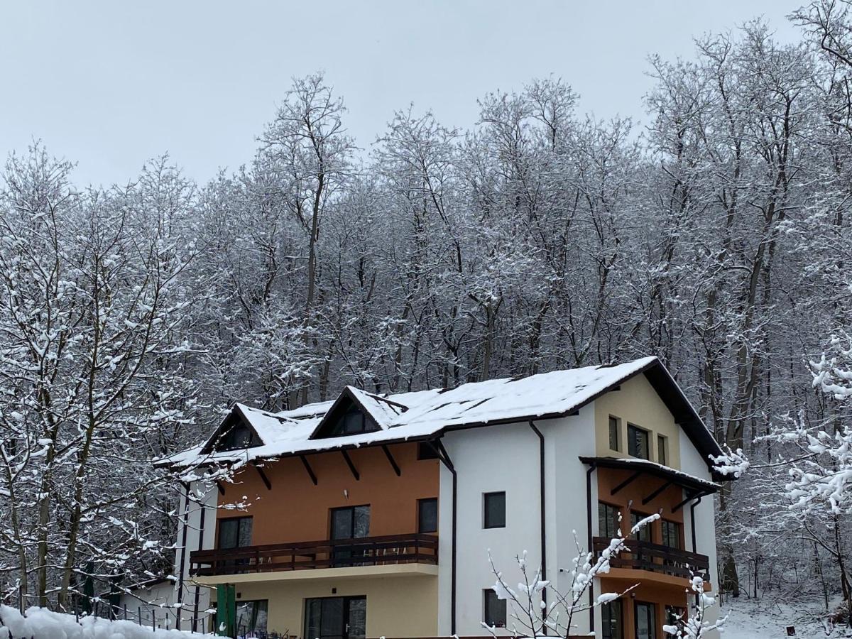 Pensiunea Lui Calin Ocnele Mari Bagian luar foto