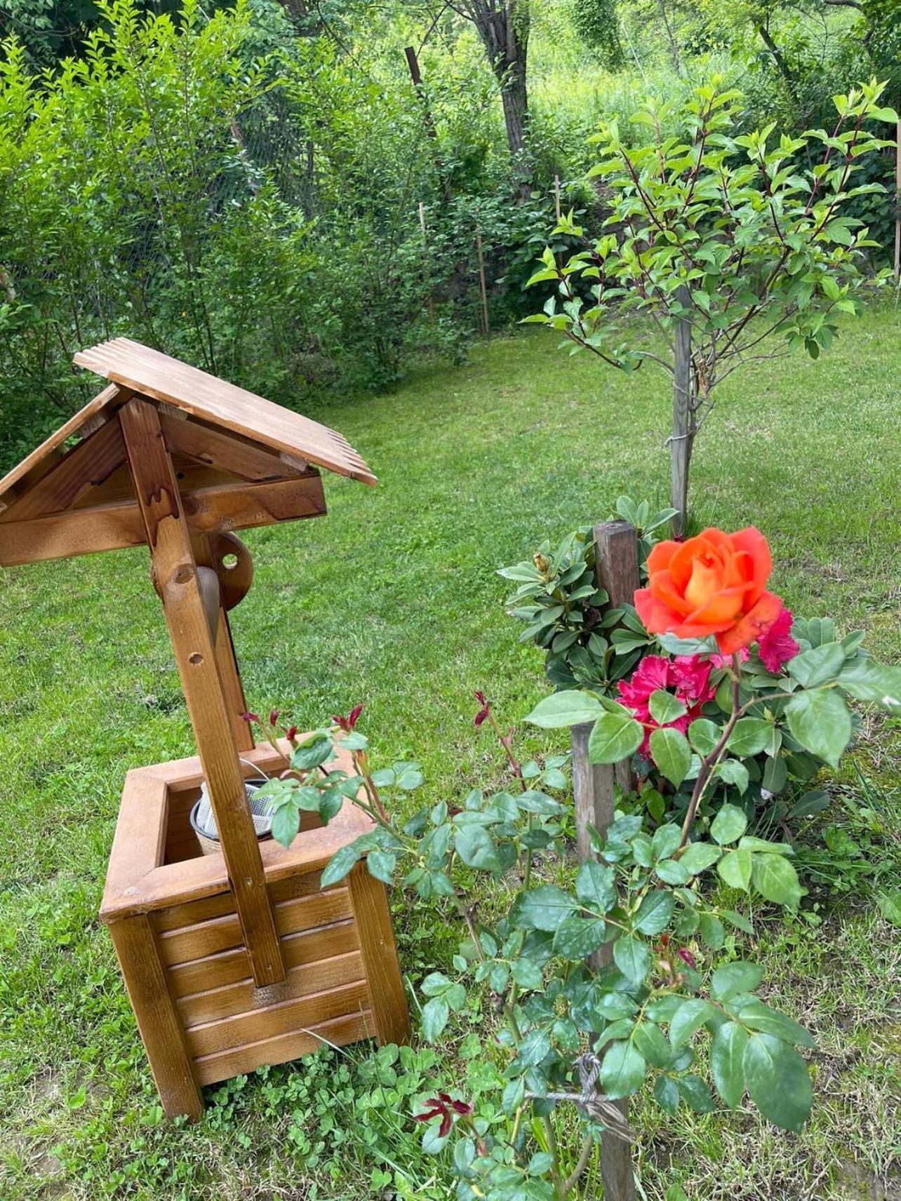 Pensiunea Lui Calin Ocnele Mari Bagian luar foto